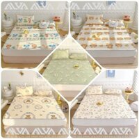 Chiếu Điều Hòa Cao Su 5D Tencel latex nhập khẩu (TẶNG KÈM 2 ÁO GỐI NẰM), Mát Mẻ, Thoáng Khí