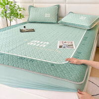 Chiếu Điều Hòa Cao Su Bo Chun 5D, Chiếu Ngủ Điều Hòa TENCEL MIN MIN Cao Cấp mềm mại và êm ái