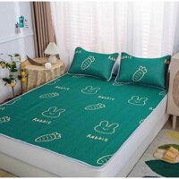 Chiếu Điều Hòa Cao Su Non 2d Cao Cấp Mát Lạnh, Cao Su Vải lụa Tencel  Latex Mềm Mịn Đủ kích thước m2/m6/m8/2m2