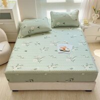 Chiếu Điều Hòa Cao Su Non 3d Bọc Chun Mẫu Mới, Chiếu Diều Hòa Cao Su Non 3d Bo Chun Mềm Mịn Thoáng Mát