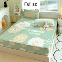 Chiếu Điều Hòa Cao Su Non 3D Cao Cấp, Chiếu Điều Hòa Tencel Latex 3D Mát Lạnh, Chiếu Điều Hòa Cho Bé