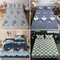 Chiếu Điều Hòa cao su non 5D mẫu mới 2025, Ga Nệm điều hòa mát lạnh KT:1m2 1m4 1m5 1m6 1m8 2m2