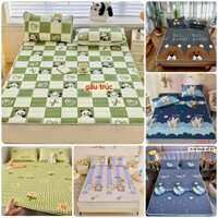 Chiếu Điều Hòa Cao Su Non Băng Lạnh Cao Cấp 5D Chính Hãng Tencel Mẫu Đẹp Chọn Lọc Kute