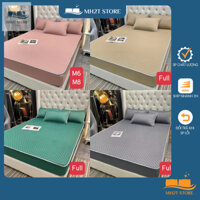 Chiếu Điều Hòa Cao Su Non Bọc Chun Đệm Điều Hòa Tặng 2 Vỏ Gối Cùng Màu Chất Liệu Cao Cấp Mềm Mịn MH2T STORE