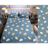 Chiếu điều hòa cao su non gồm ga trải giường kèm 2 áo gối ga điều hòa kích thước 1m6 1m8 mẫu lá phongchuyengagoigiaxuong