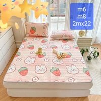 Chiếu điều hòa cao su non gồm ga điều hòa và 2 áo gối ga giường kích thước 1M8-2M - MẪU MỚI 2022 - DRAP BEDING