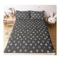 Chiếu điều hòa cao su non loại dày kích thước chiếu điều hòa 1m6 1m8 2m2 kèm 2 áo gối cùng loại mẫu LW xám - drap beding