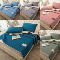 CHIẾU ĐIỀU HOÀ CAO SU NON trơn 1 Màu Thanh Lý Giá Rẻ Chiếu Gấp Gọn Chiếu Văn Phòng 1m2/1m4/1m5/1m6/1m8/2m2 không kèm vỏ