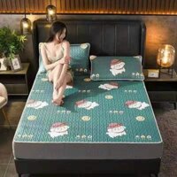 Chiếu điều hòa cao su non Tencel Latex 5D, Chiếu điều hòa dùng cho mùa hè thoáng mát nặng 2kg ( đầy đủ kích thước )