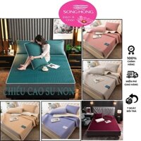 Chiếu điều hòa cao su non Tencel Latex, chiếu nệm mủ cao su non hàng cao cấp[1m2 1m4 1m5 1m6 1m8 2m]