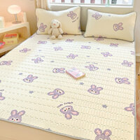 Chiếu điều hoà cao su non Tencel Latex 5D , Chiếu điều hoà được được dùng trong mùa hè giúp tháng mát đủ kích thước