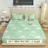 Chiếu điều hòa cao su non Latex 5D kháng khuẩn nhập khẩu size M6 M8 bọc chun nệm Lotus Home