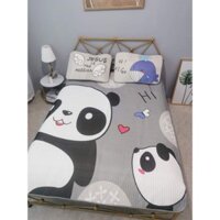 Chiếu Điều Hoà Cao Su Non Latex Gấu Panda