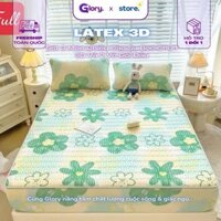 Chiếu Điều Hòa Cao Su Non Latex Bo Chun 3D Cho Bé Set Chiếu Băng Lạnh 1m6,1m8, 2m2 x 2m Kèm 2 Vỏ Gối