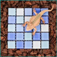 Chiếu điều hoà có thể gập lại CBY cho thú cưng nhỏ chống say nắng chống băng cho động vật nhỏ