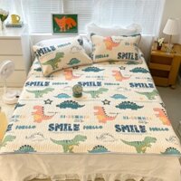 Chiếu điều hòa kèm 2 áo gối ga điều hòa đủ kích thước 1m4 1m5 1m6 1m8-mẫu khủng long xám_chuyengagoigiaxuong