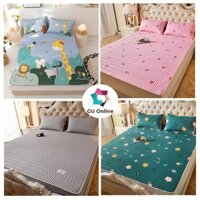 Chiếu điều hòa mát lạnh chiếu cao su non tặng 2 vỏ gối