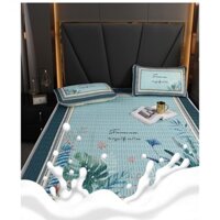 CHIẾU ĐIỀU HÒA MỦ CAO SU NON HÀNG NỘI ĐỊA LOẠI 1 (1,5m-1,8m)