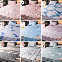 CHIẾU ĐIỀU HOÀ MỦ CAO SU NON HÀNG NỘI ĐỊA(1,5M-1,8M)