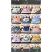 CHIẾU ĐIỀU HOÀ MỦ CAO SU NON HÀNG NỘI ĐỊA LOAI 1(1,5M-2M)