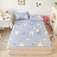 Chiếu Điều Hòa Mủ Cao Su Non ADU79 Bedding Họa Tiết 5D - 2D Mát Lạnh Chuẩn Hàng Loại 1 - CHIẾU 2D 24,1M6 X 2M