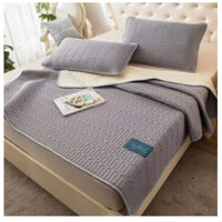 💓Chiếu điều hòa Mủ Cao Su Non Tự Nhiên Mát Lạnh Mùa Hè, Dễ Dàng Vệ Sinh - Thảm màu Trang Nhã💓 - Ghi Xám, Xanh Lá,...