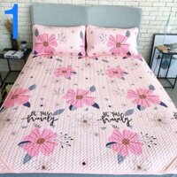 Chiếu điều hoà tencel 1,6x2m