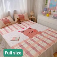 Chiếu điều hoà tencel 5D