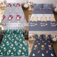 Chiếu Điều Hòa Tencel 5D 1m6,1m8,2m2 Bộ Chiếu Cao Su Non Tặng Kèm 2 Vỏ Gối Đầu Hàng Loại 1