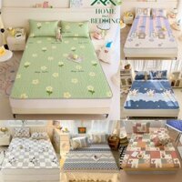 Chiếu Điều Hòa Tencel 5D 1m6,1m8,2m2 Bộ Chiếu Cao Su Non Tặng Kèm 2 Vỏ Gối Đầu Hàng Loại 1