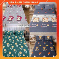 Chiếu Điều Hòa Tencel 5D 1m6,1m8,2m2 Bộ Chiếu Cao Su Non Tặng Kèm 2 Vỏ Gối Đầu Hàng Loại 1 giá tại xưởng giá xưởng