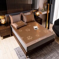 Chiếu Điều Hòa Thông Hơi Thế Hệ Mới Dùng Mát Mẻ Mùa Hè hàng loại 1