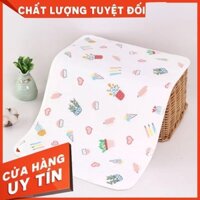 Chiếu/ Tấm lót chống thấm cho bé