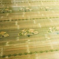 Chiếu tre/ chiếu trúc cây Tây Bắc. Ngang 1m x dài 1,9m