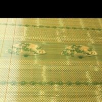 Chiếu trúc tăm hè  đủ kích cỡ
