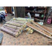 chiếu trúc tây bắc