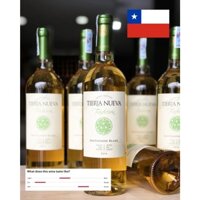 (Chile)Vang Chi Lê đỏ TIERRA NUEVA TRADICION SAUVIGNON BLANC 750ml