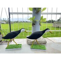 Chim quốc mồi giả