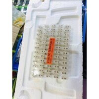 [CHÍNH HÃNG] 10 vỉ cầu đấu nhựa trắng 30A 12 pha