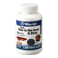 Chính Hãng Anh Lớn Trắng Lát Cá Rọc Chuyên Dụng Bên Trong Lô Hàng Bên Ngoài Cá Đầu Lỗ Bụng Xúc Xích Trắng Poop0234023425