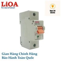 [CHÍNH HÃNG] APTOMAT LiOA 1 Cực 100A (MCB1100/4,5 MCB1100/6 MCB1100/10)