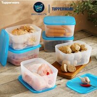 [Chính Hãng] Bộ 6 Hộp Tuppeware Trữ Đông Freezermate Đựng Thực Phẩm 650ml Bảo Quản Thực Phẩm Tươi Ngon An Toàn Vệ Sinh