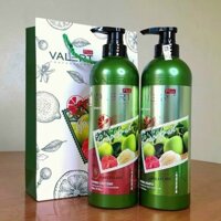 Chính hãng Bộ Dầu Gội và Xả Bưởi Grape Fruit VALERT 850ml