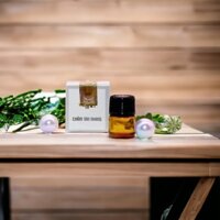 (CHÍNH HÃNG) CHẤM TÀN NHANG NÁM RỖ PHƯƠNG ANH GIÁ SỈ