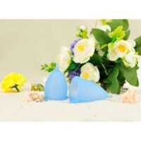 [CHÍNH HÃNG] Cốc Nguyệt San Hercup Tặng ddvs+10 viên khử trùng
