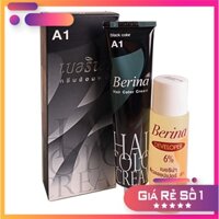 Chính hãng COMBO 2 HỘP Thuốc nhuộm tóc Berina Hair Color Cream 60ml ( A1 ĐEN)