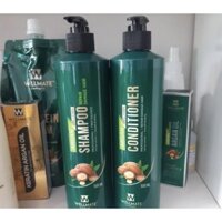 (Chính Hãng) Combo Dầu Gội Xả Phục Hồi Dành Cho Tóc Hư Tổn Nặng Wellmate 500ml x2