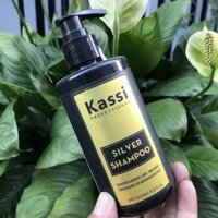 (Chính hãng) Dầu gội khử vàng Kassi silver shampoo 250ml