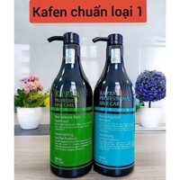 [CHÍNH HÃNG] Dầu gội xả hoàn hình kafen xanh 800ml CT31