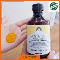 [CHÍNH HÃNG] ✅[ DAVINES-CHÍNH HÃNG ] DẦU GỘI TRỊ GÀU DAVINES NATURALTECH PURIFYING 250ML